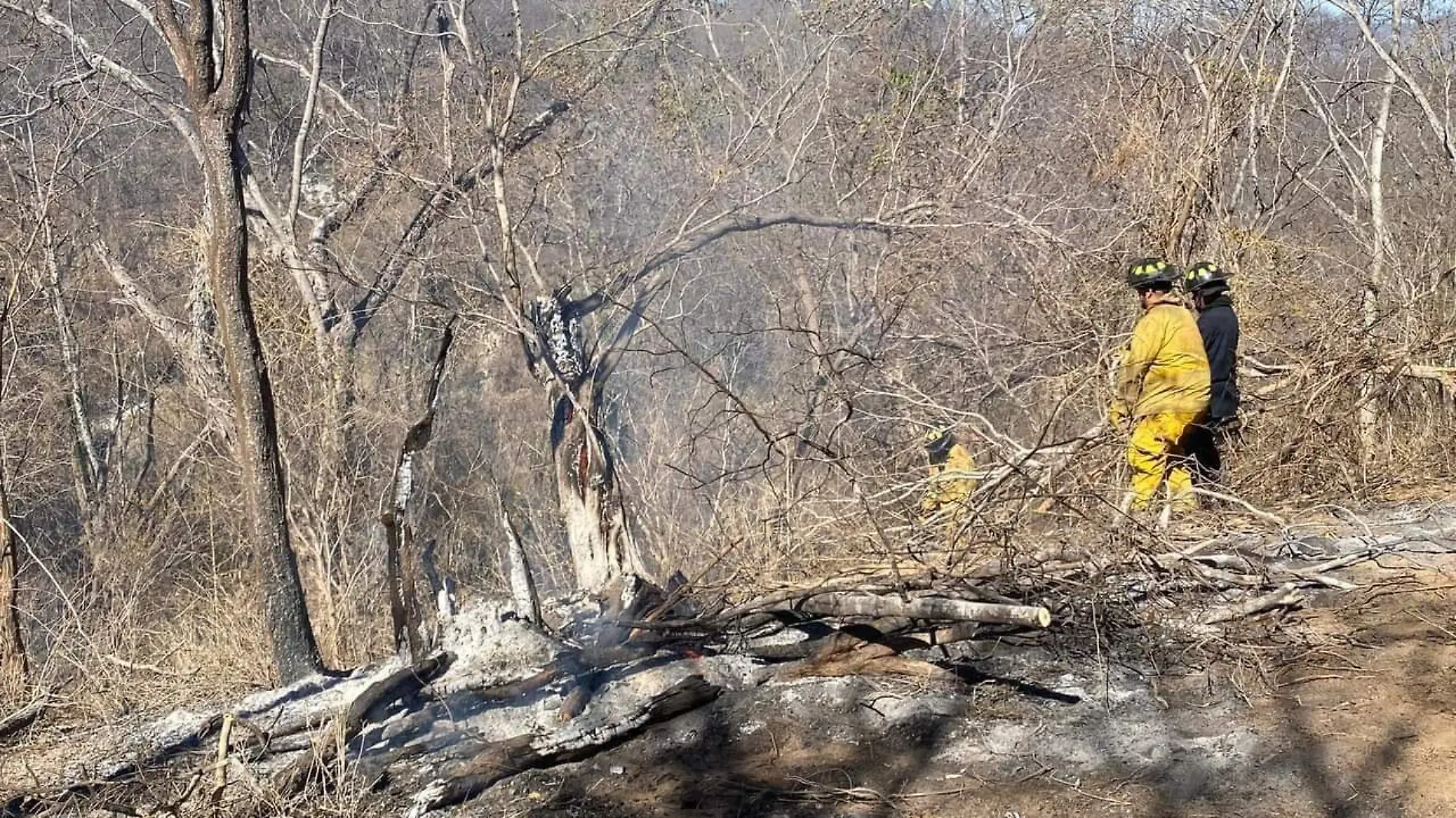 incendio-forestal-maza