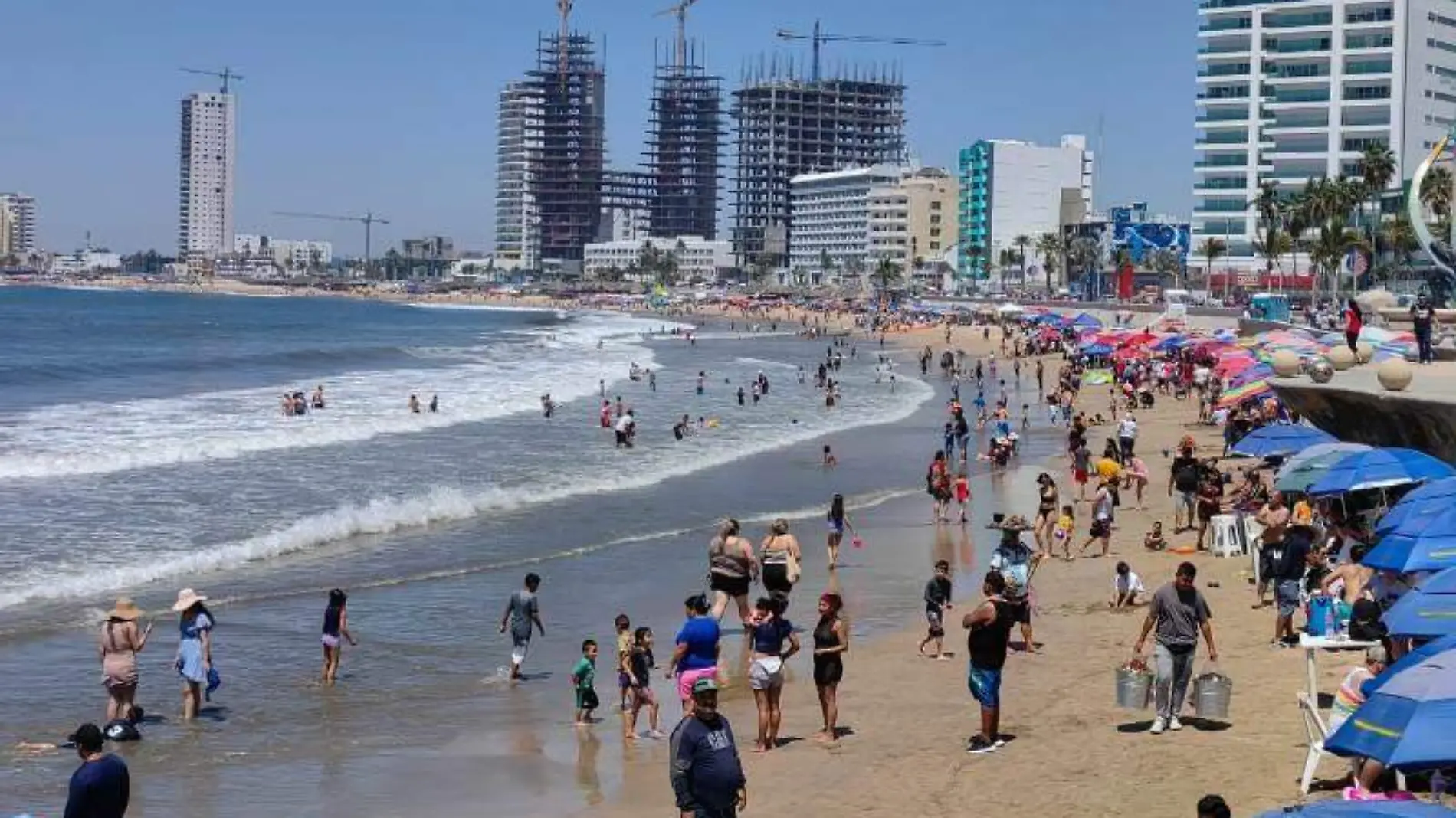 mantarrayas-medusas-playa-maza