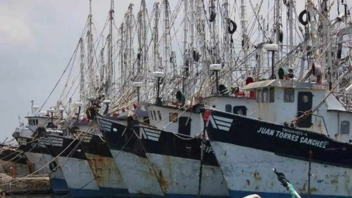 flota-barcos