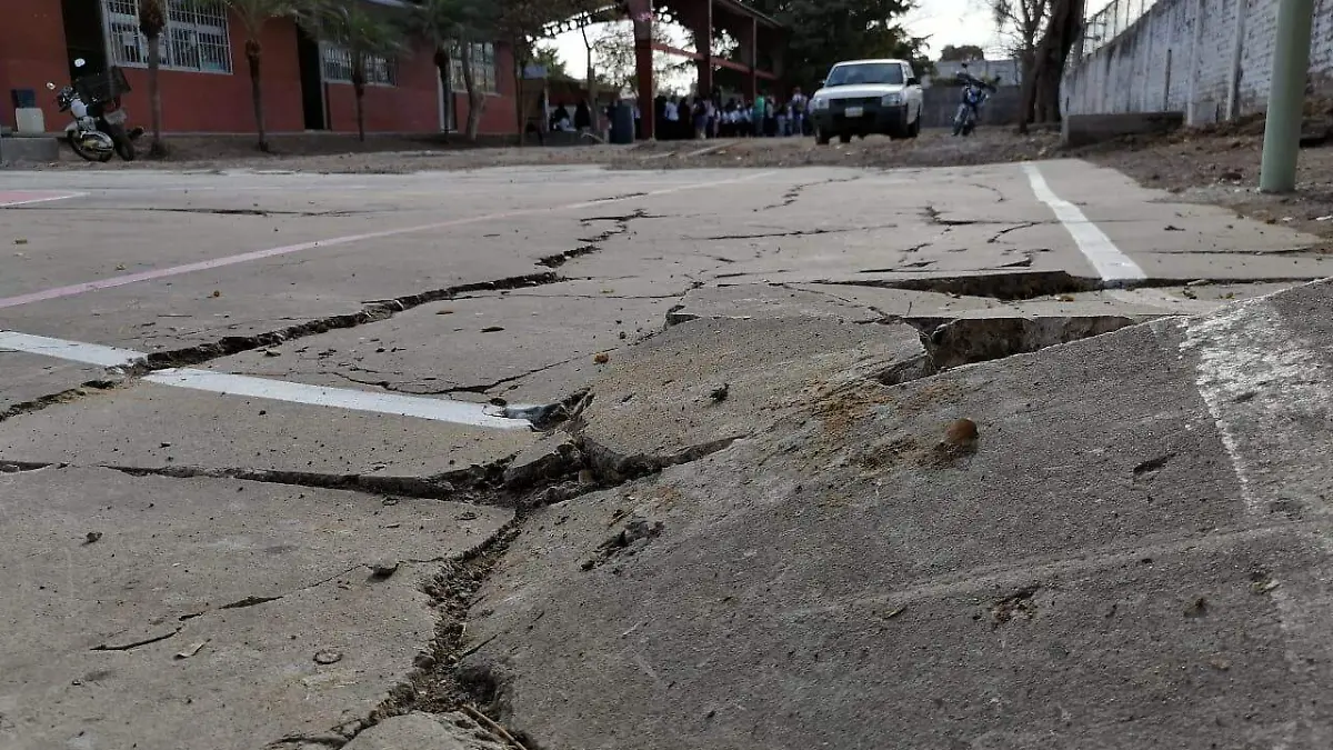 WhatsApp Image 2024-01-09 at 9.16.52 AM