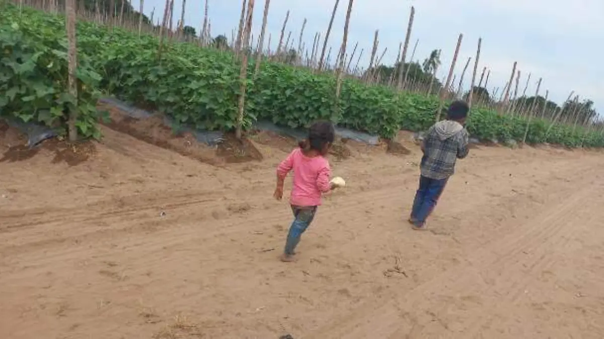 trabajo - infantil