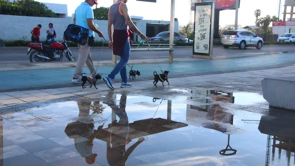 WhatsApp Image 2023-11-13 at 8.54.59 AM