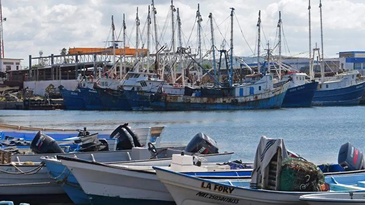 muelle-bonfil-astillero