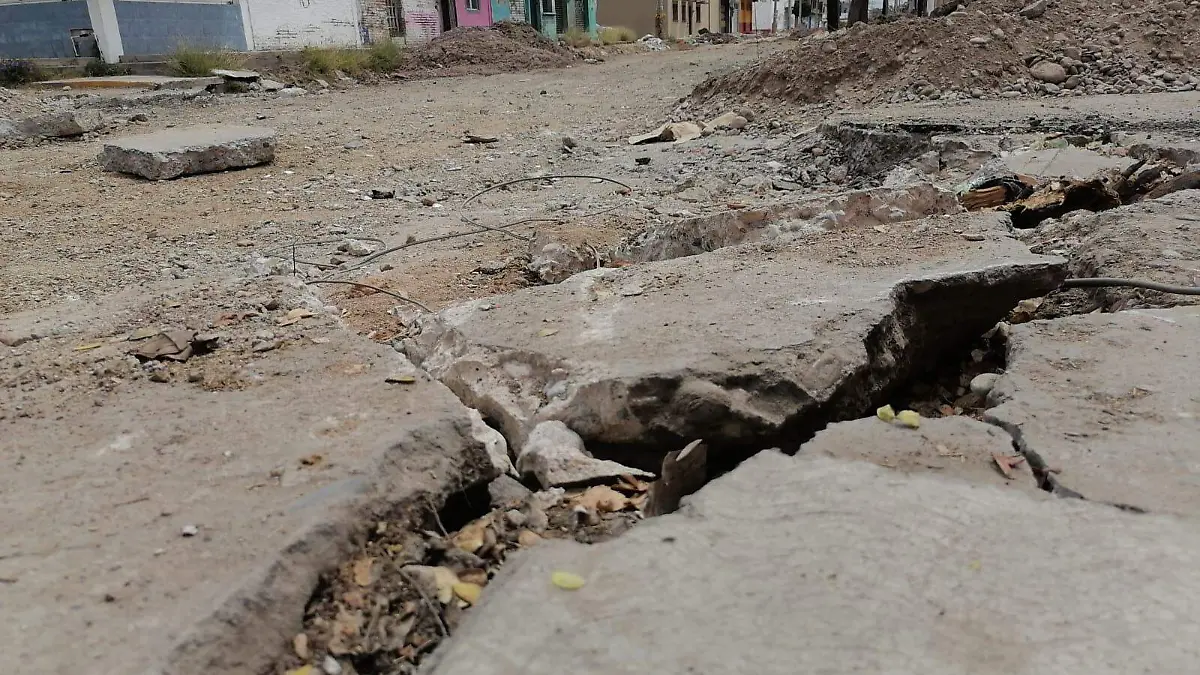 WhatsApp Image 2024-03-19 at 1.24.28 PM