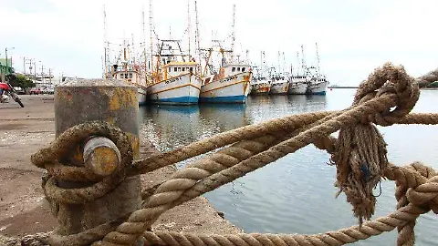 Inicia la veda de camarón en medio de una temporada sin apoyos para  pescadores - El Sol de Mazatlán | Noticias Locales, Policiacas, sobre  México, Sinaloa y el Mundo