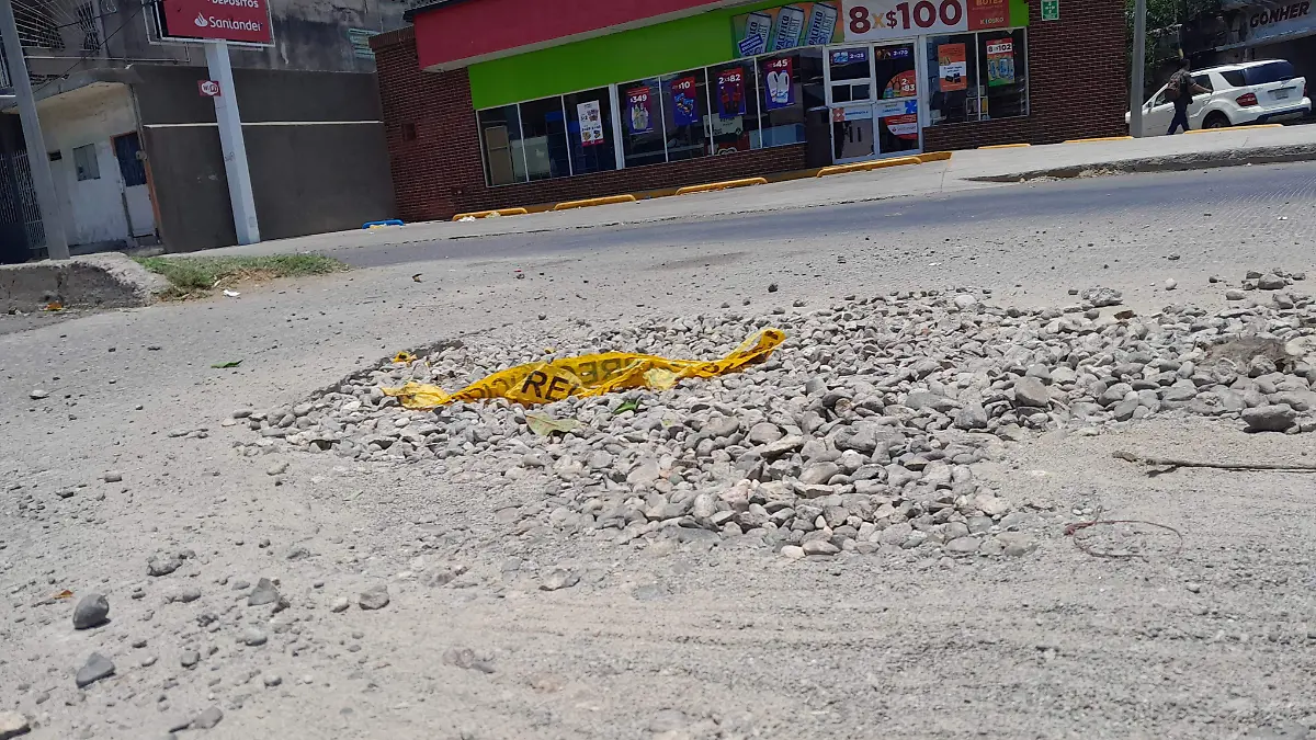 WhatsApp Image 2024-06-15 at 12.19.08 PM