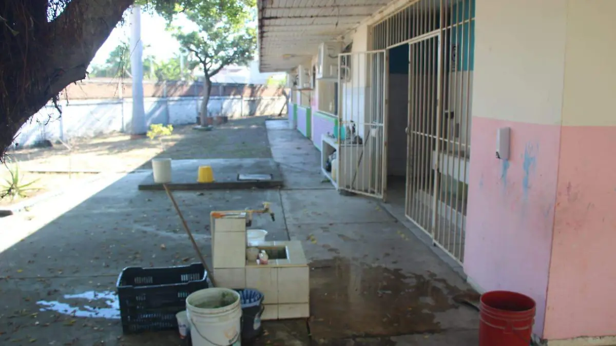 WhatsApp Image 2023-12-04 at 11.26.42 AM