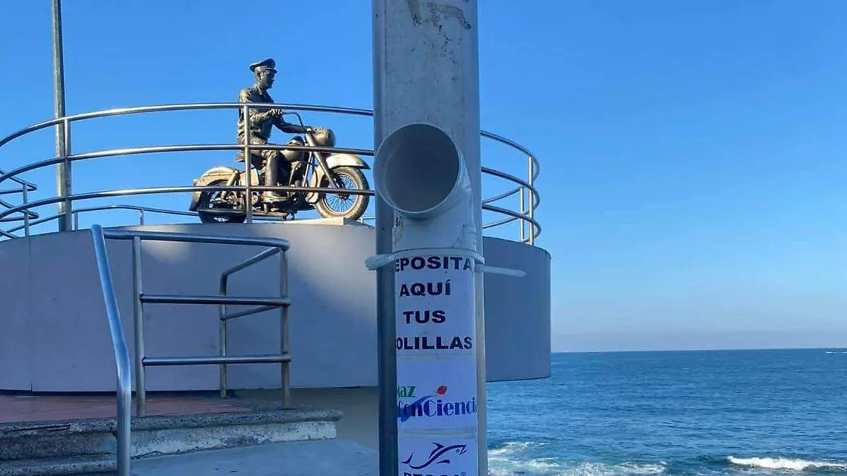 WhatsApp Image 2024-01-11 at 2.29.22 PM