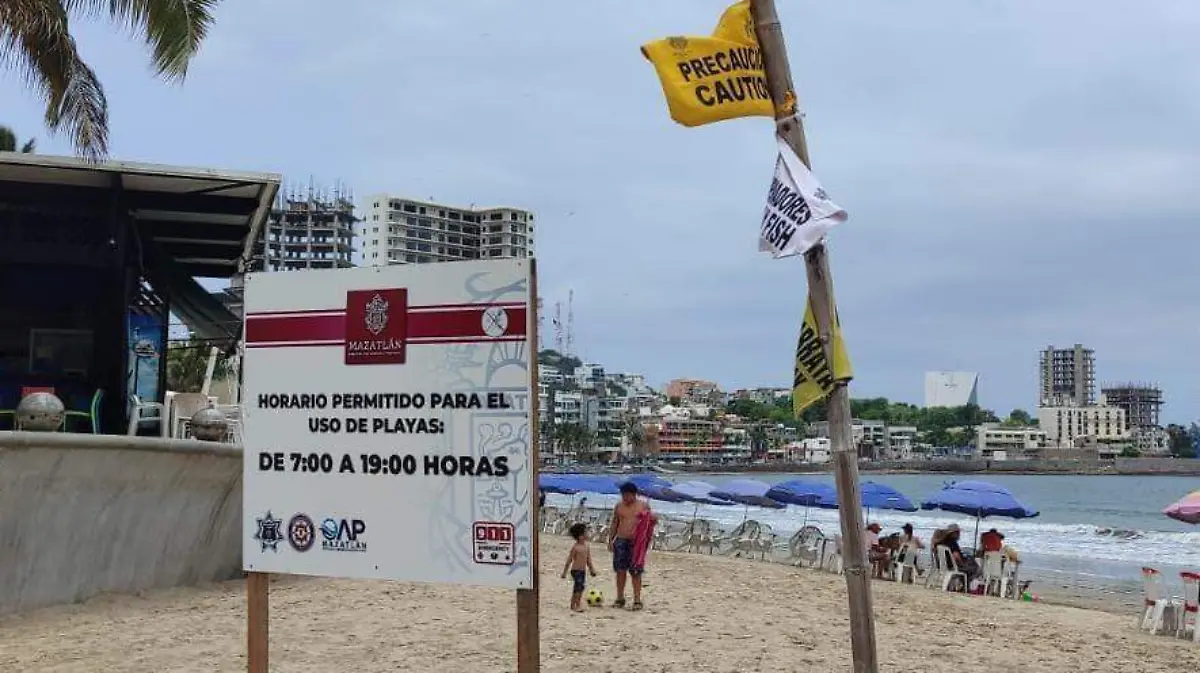 WhatsApp Image 2024-08-10 at 9.56.01 AM