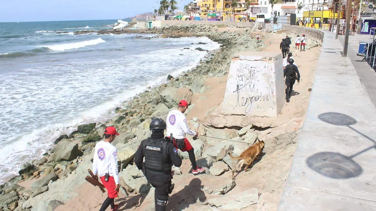 retiran-puntas-basura-madera-de-playas