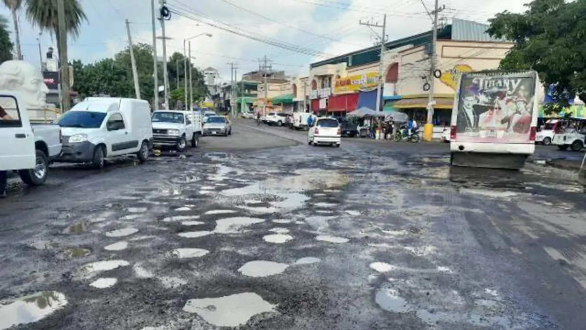 baches