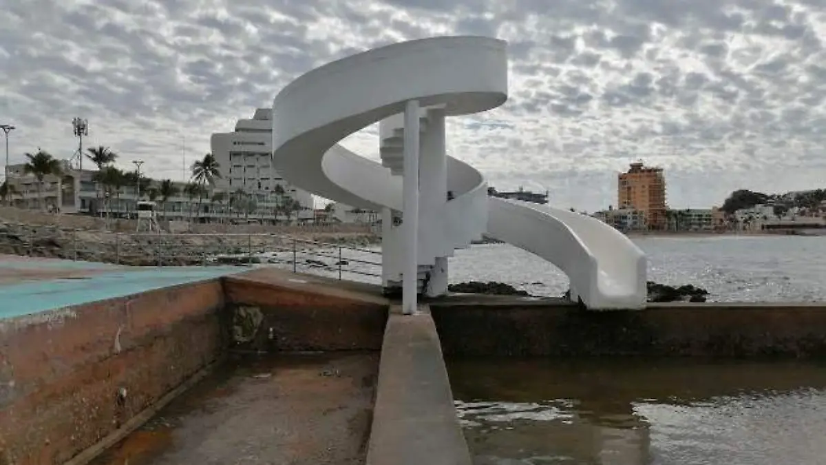 carpa - olivera - maza