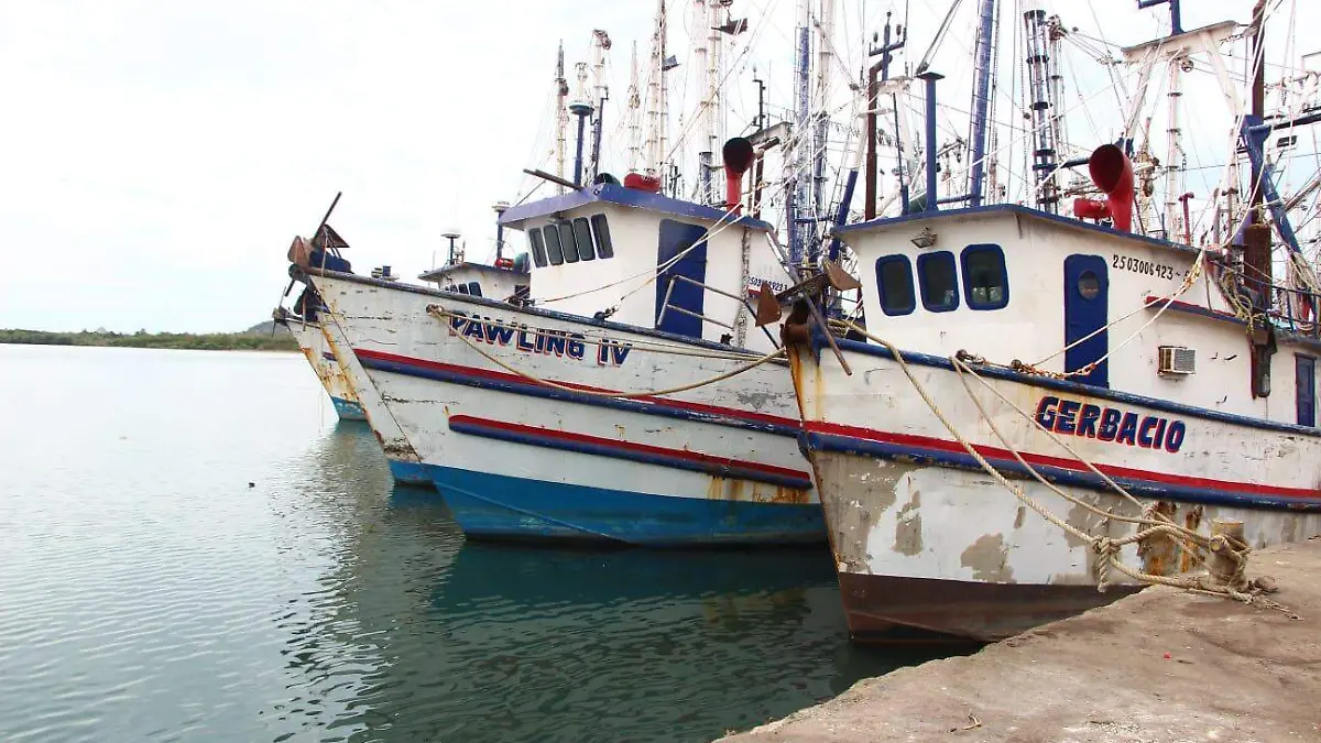 WhatsApp Image 2024-03-20 at 10.10.00 AM