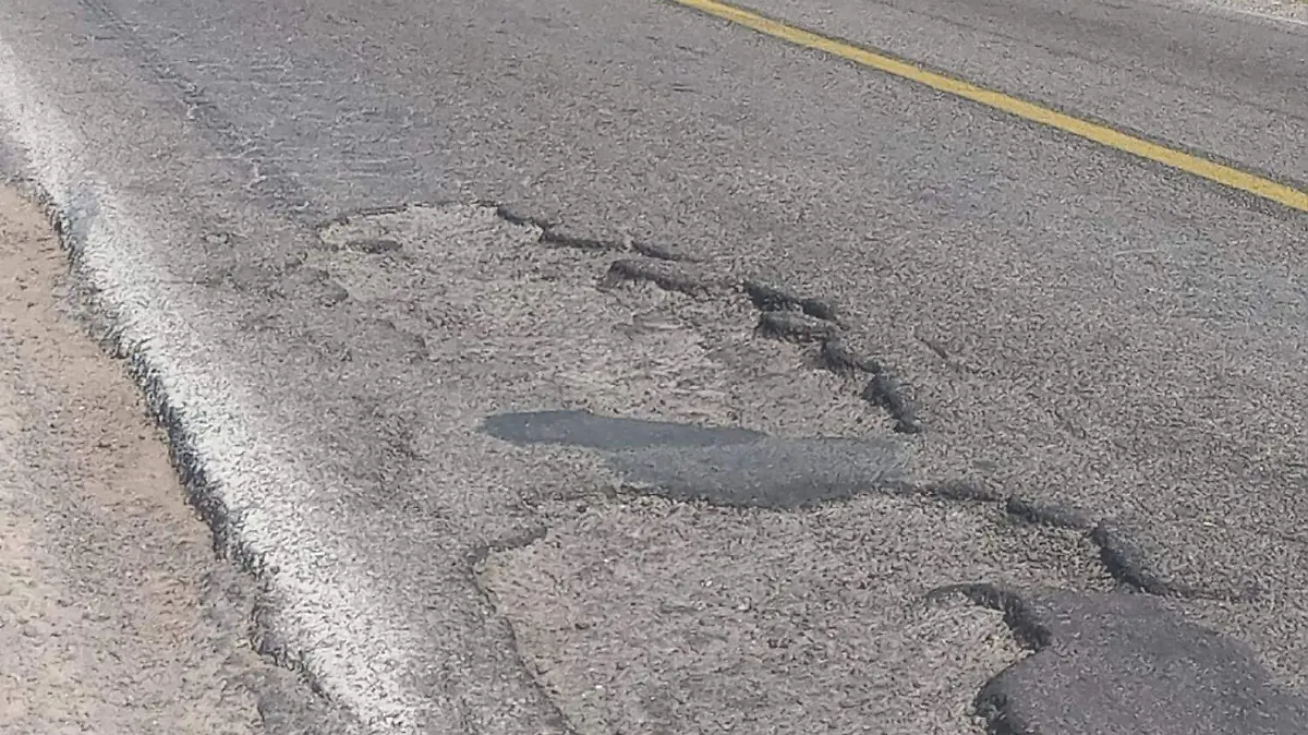 WhatsApp Image 2024-04-24 at 2.31.13 PM