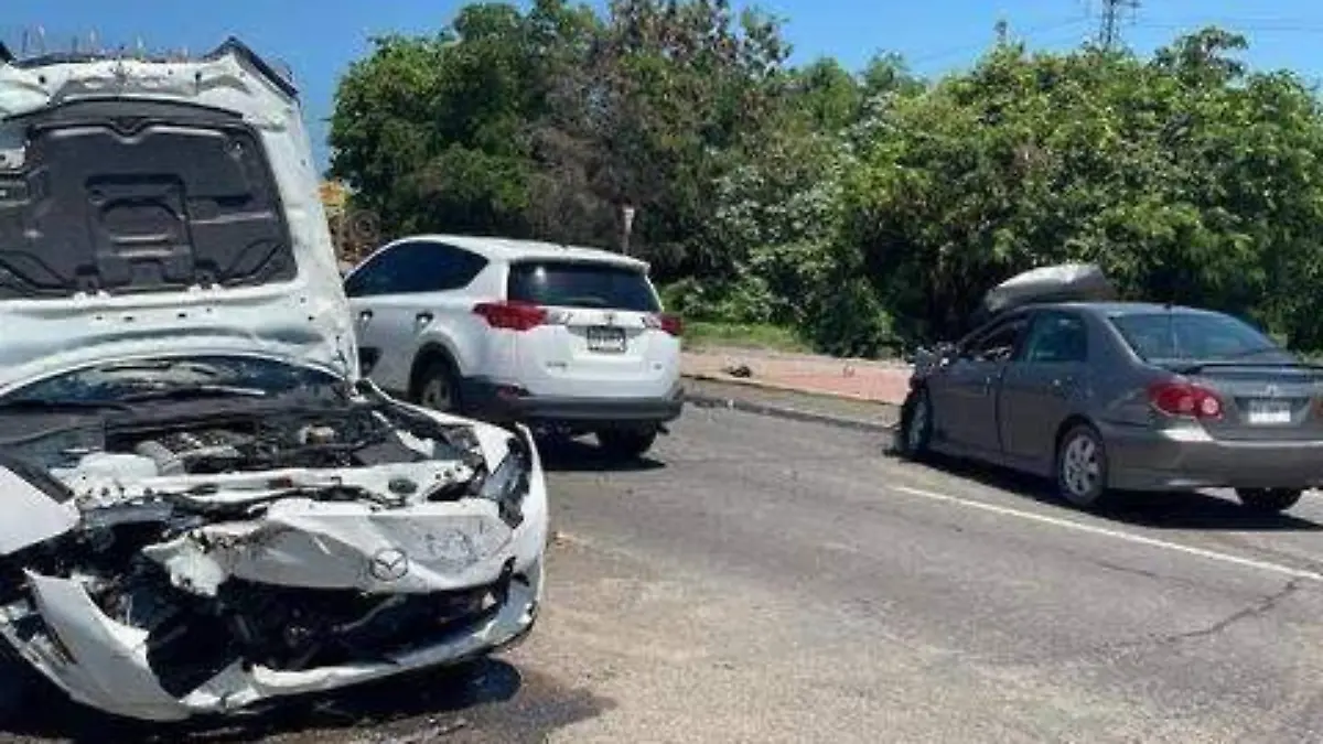 WhatsApp Image 2024-10-14 at 10.27.26 AM