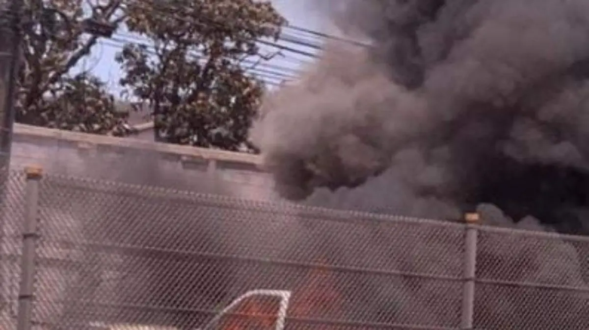 WhatsApp Image 2024-05-29 at 3.29.29 PM