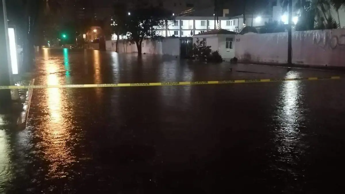 ac2d0946-f25d-4f7b-a255-821645e84216