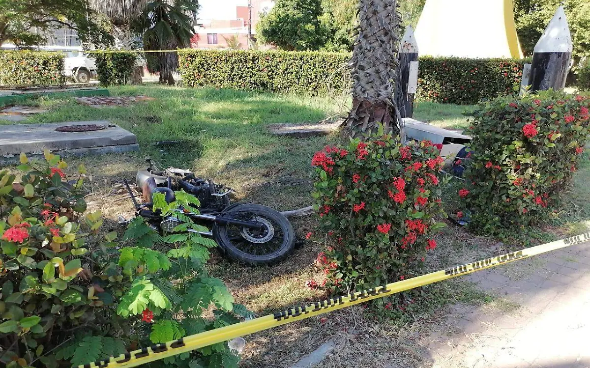 WhatsApp Image 2022-11-12 at 09.29.21