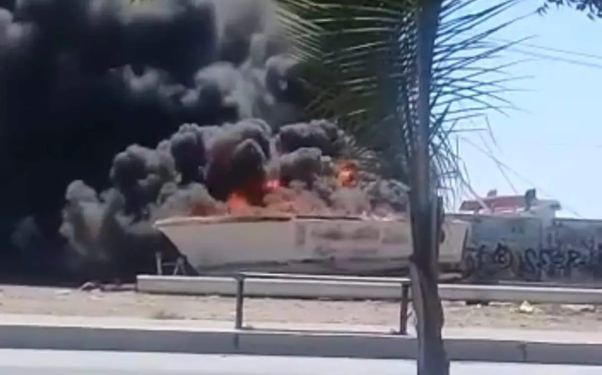 WhatsApp Image 2023-03-12 at 12.38.53