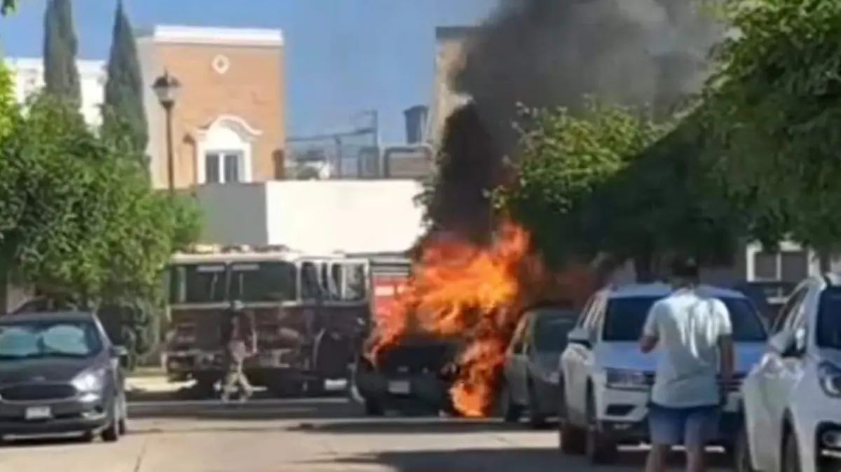 WhatsApp Image 2023-07-31 at 9.11.00 AM