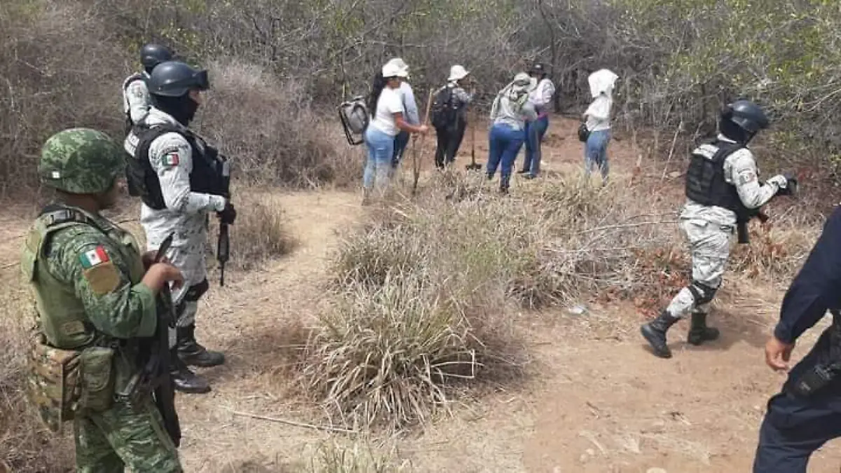 7cf55920-428f-4813-8af0-36964b84d7ad