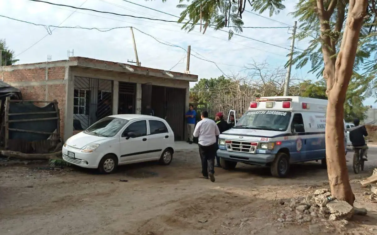 WhatsApp Image 2023-01-17 at 12.40.07