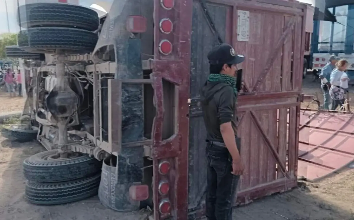 WhatsApp Image 2023-05-18 at 13.15.20