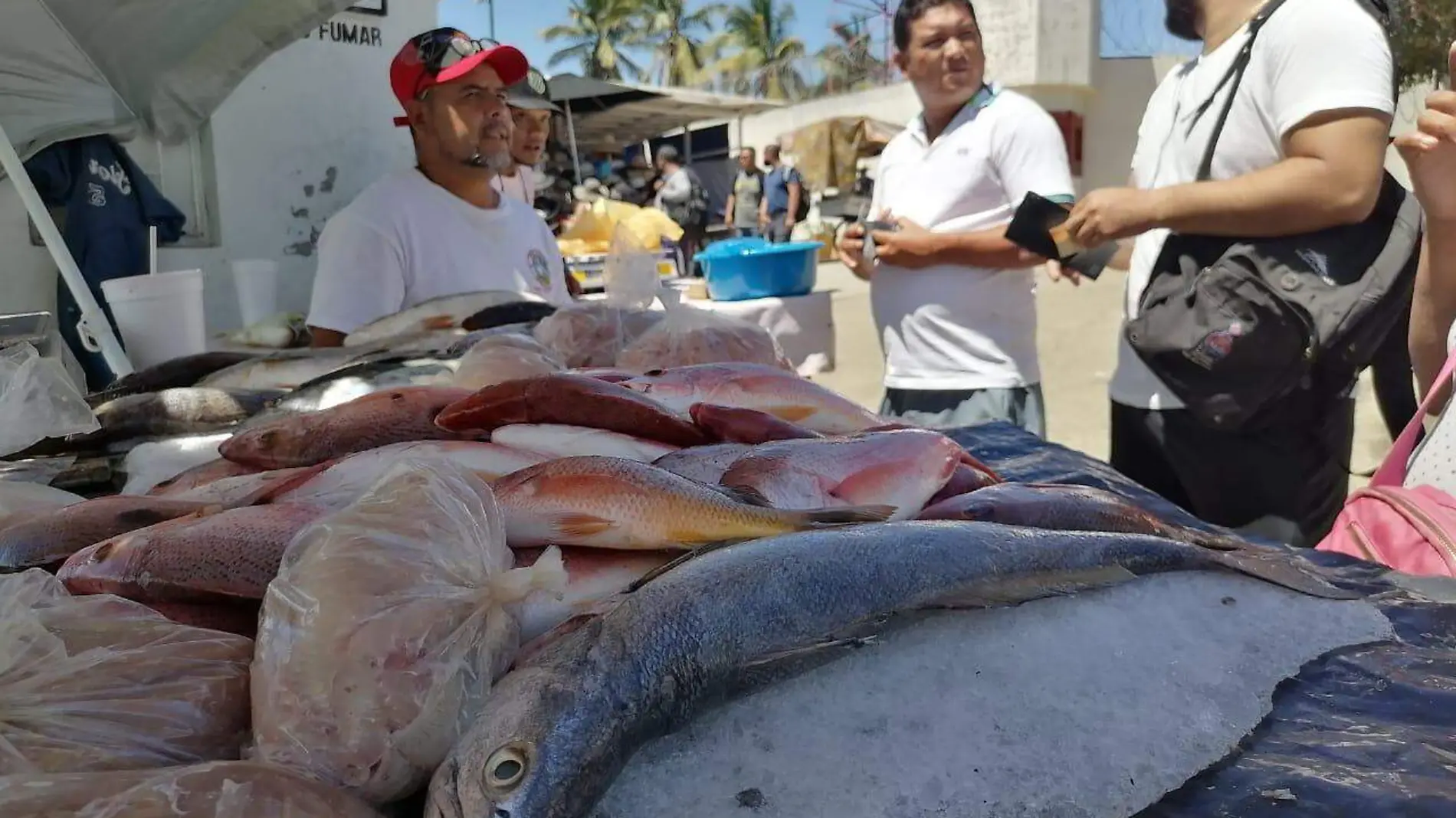 venta-de-pescado-en-mazatlan