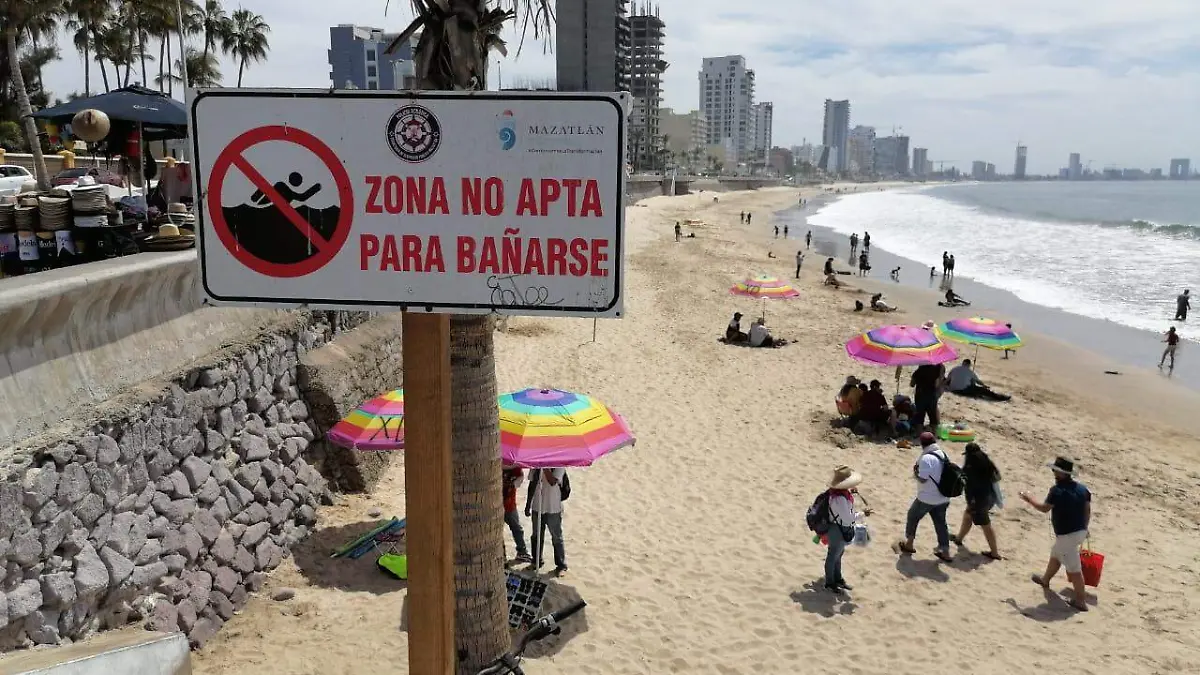 WhatsApp Image 2023-03-31 at 08.25.46