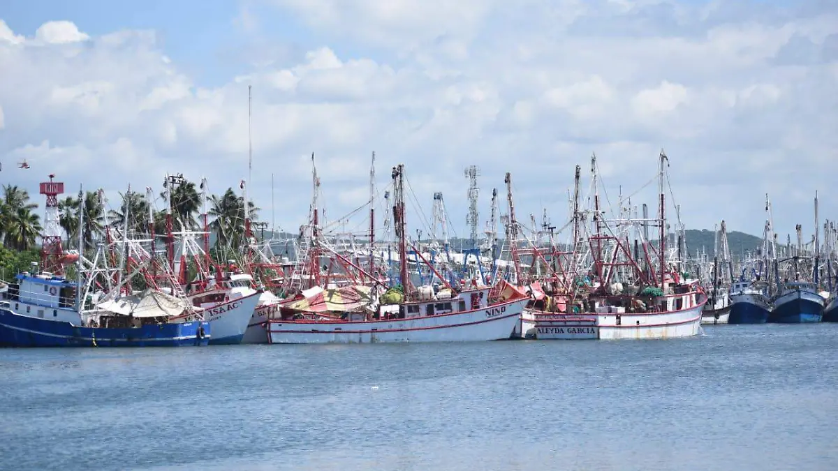 barcos 3
