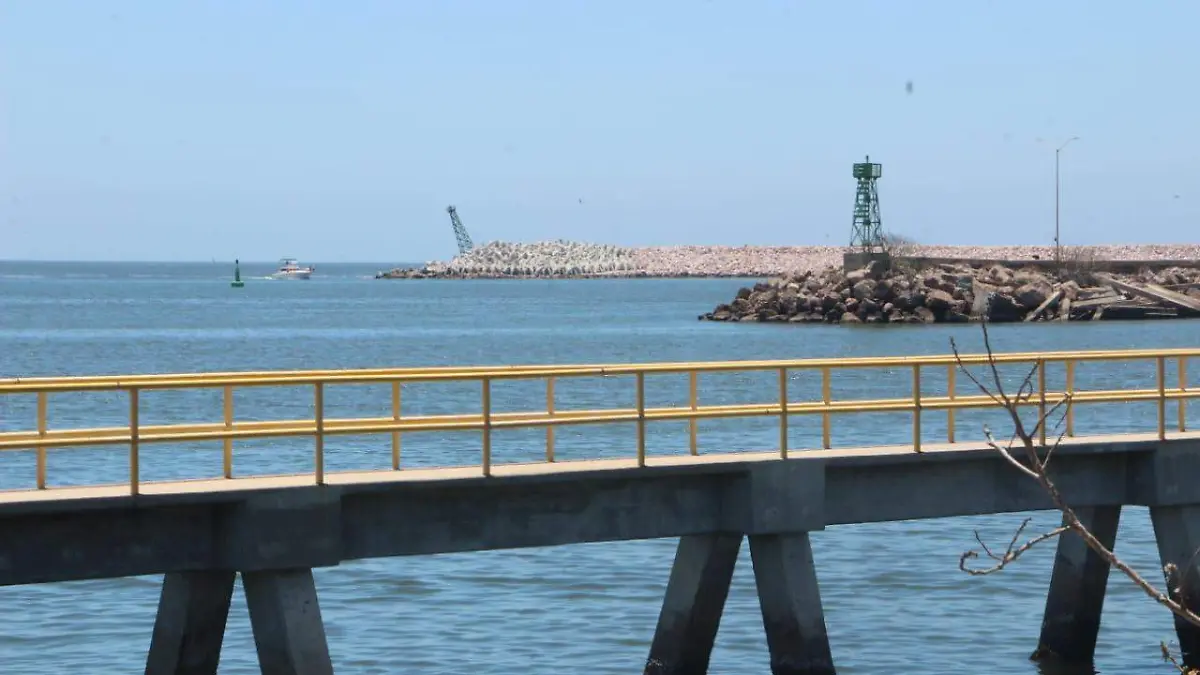 WhatsApp Image 2022-04-24 at 12.13.57