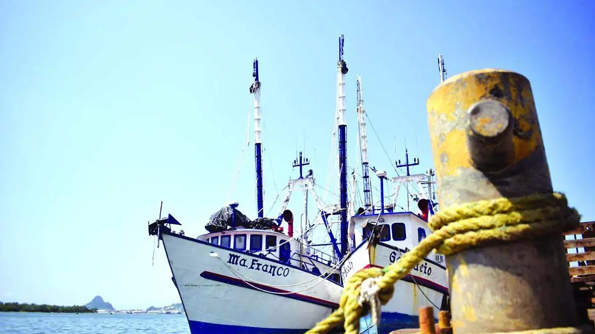 barco