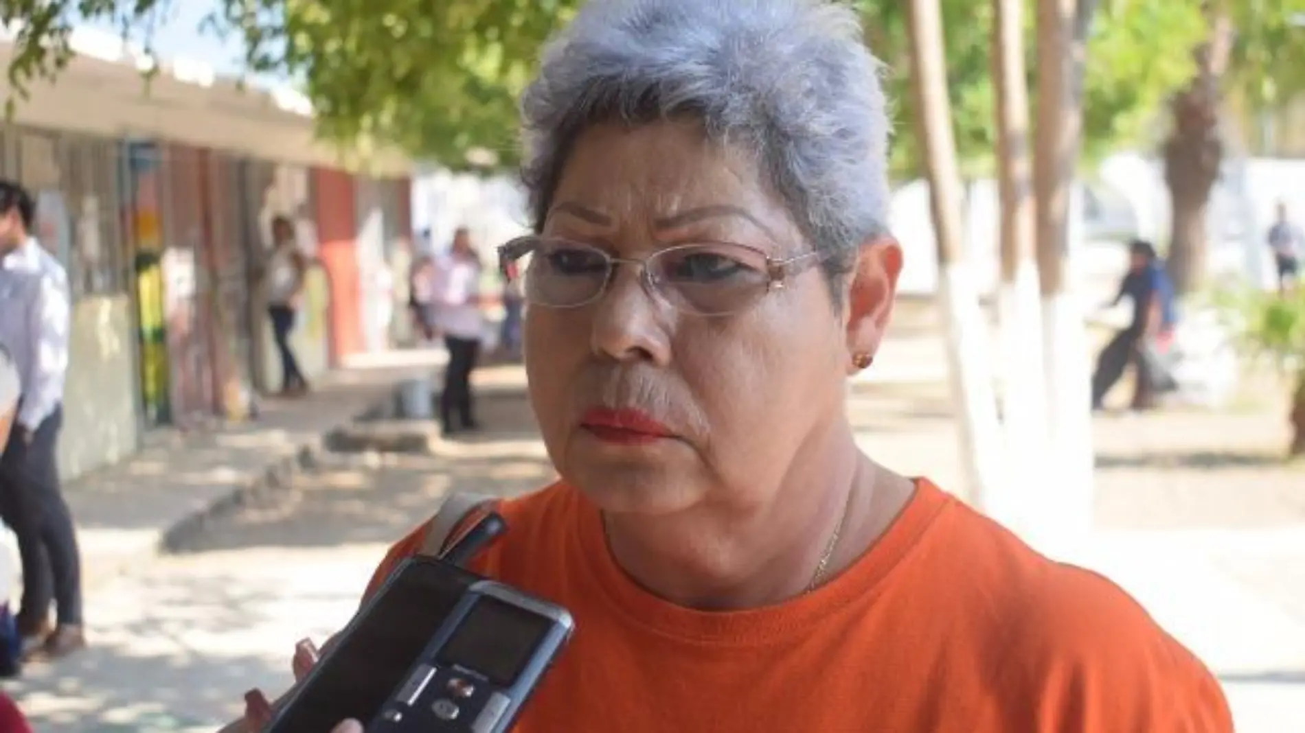 María del Carmen Ramírez, directora del Immujer