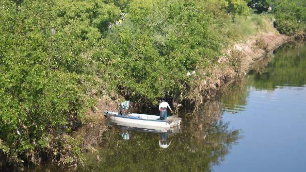 ecologia