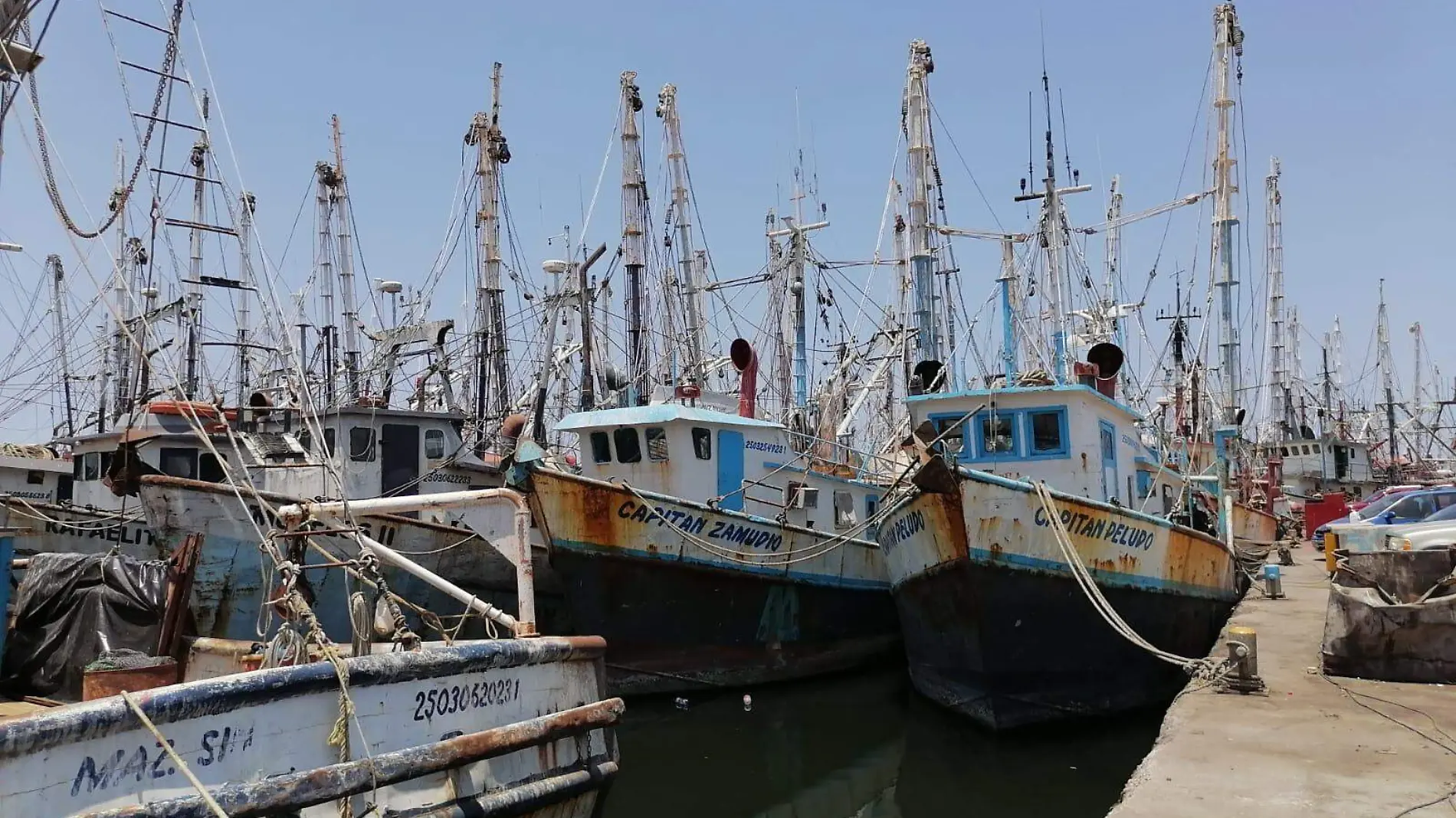 venderan-barcos-camaroneros