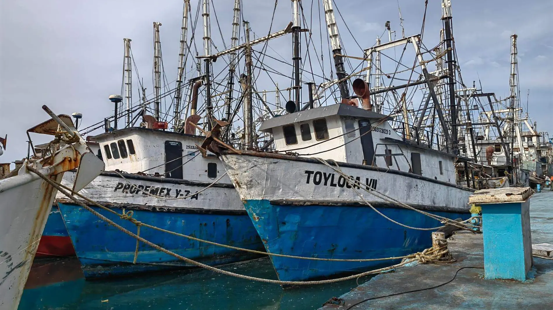 captura-de-camaron-barco