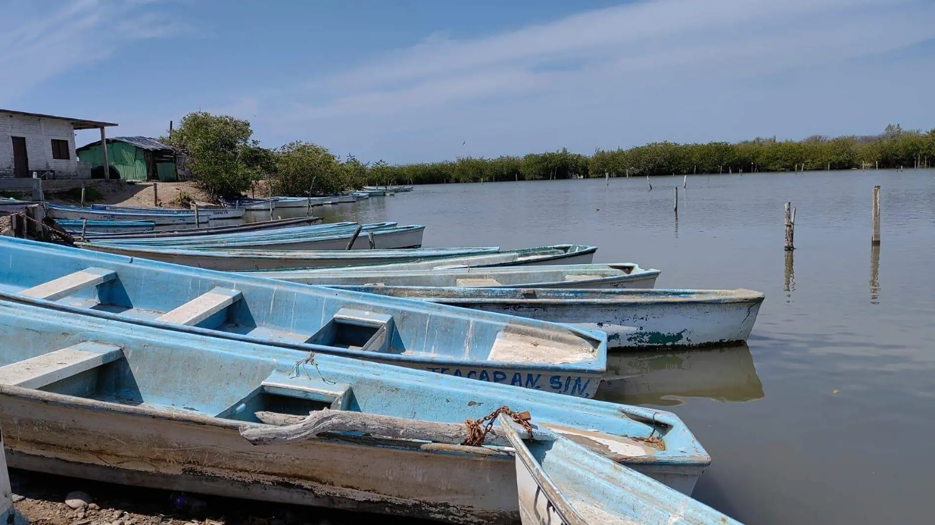 sinaloa-es-el-estado-que-mas-incumple-las-normas-de-pesca