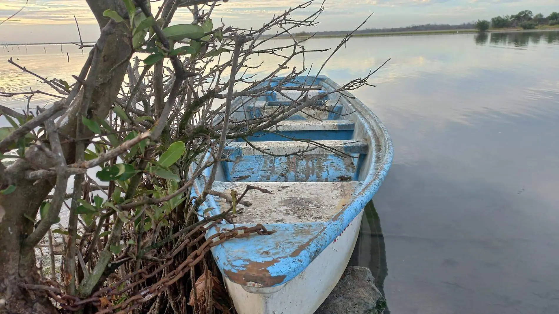 pesca-camaron-escuinapa-sinaloa