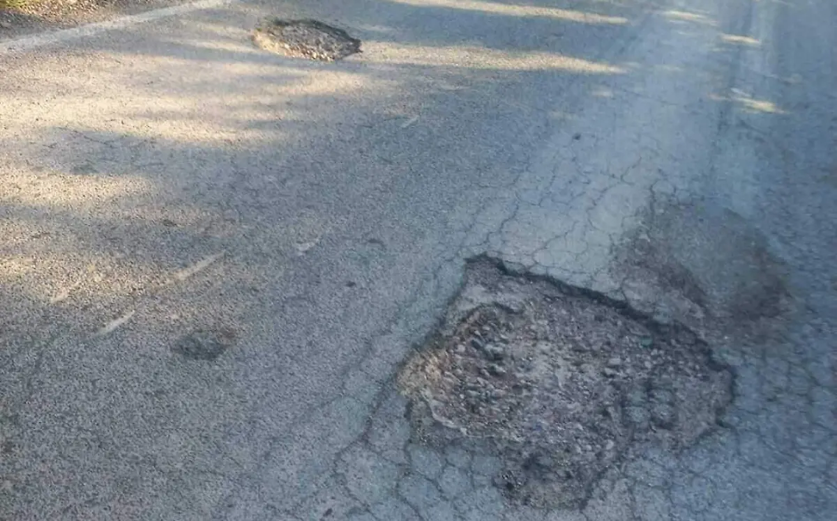 WhatsApp Image 2022-09-28 at 11.22.35 (1)