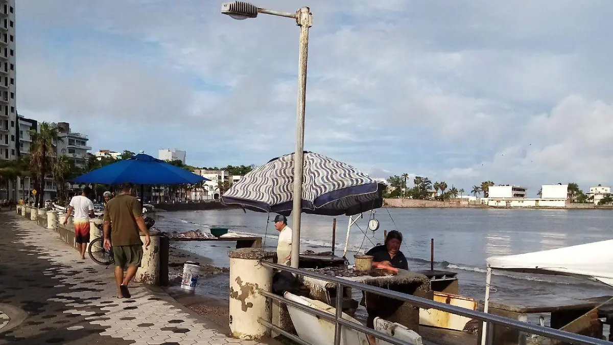 venta de pescado