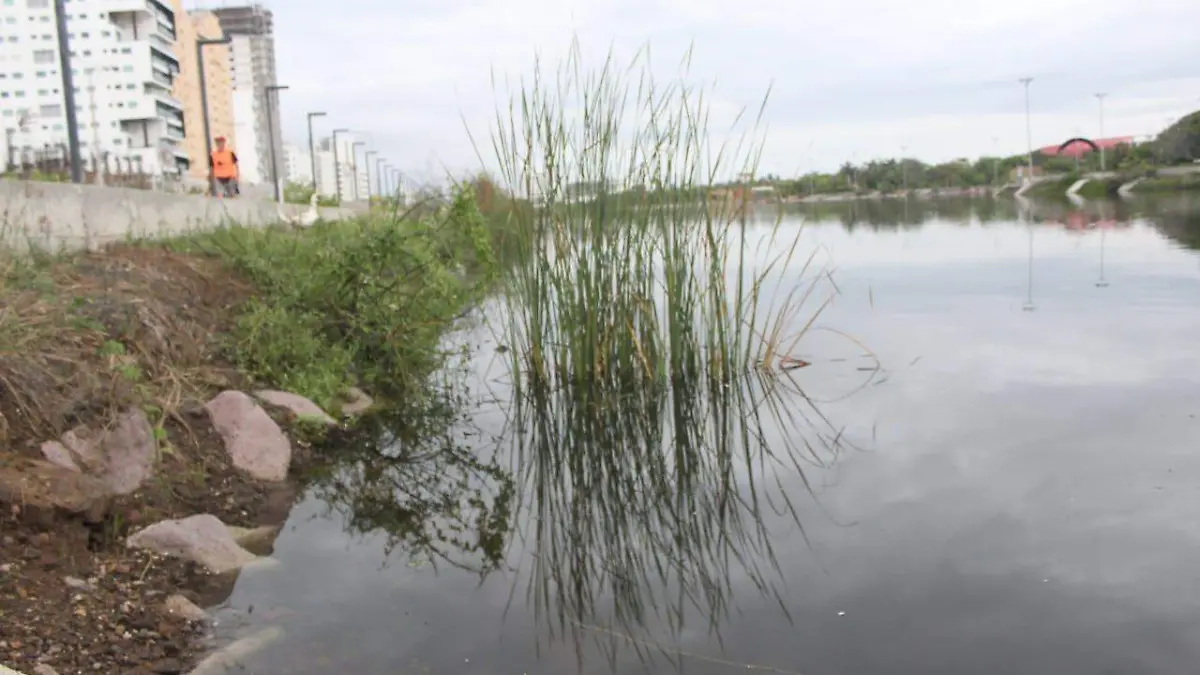 alistan-demanda-colectiva-por-contaminacion-en-la-laguna-del-camaron
