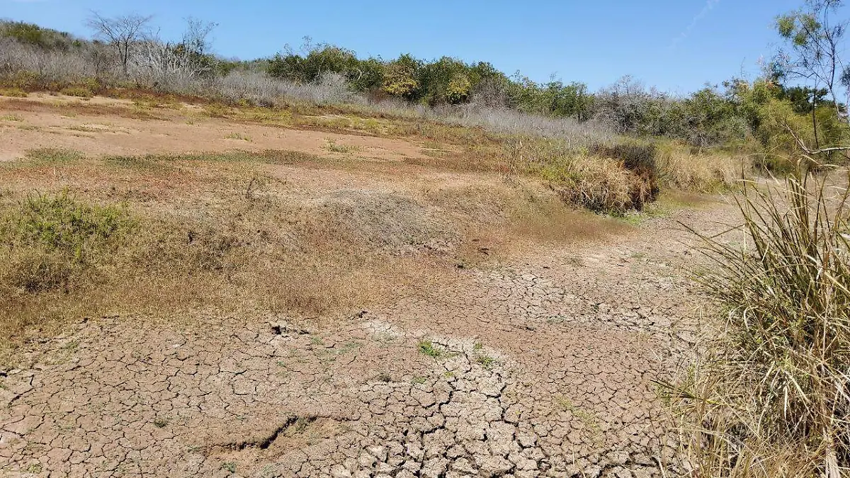 llaman-a-invertir-en-infraestructura-verde-para-evitar-la-crisis-del-agua-en-sinaloa