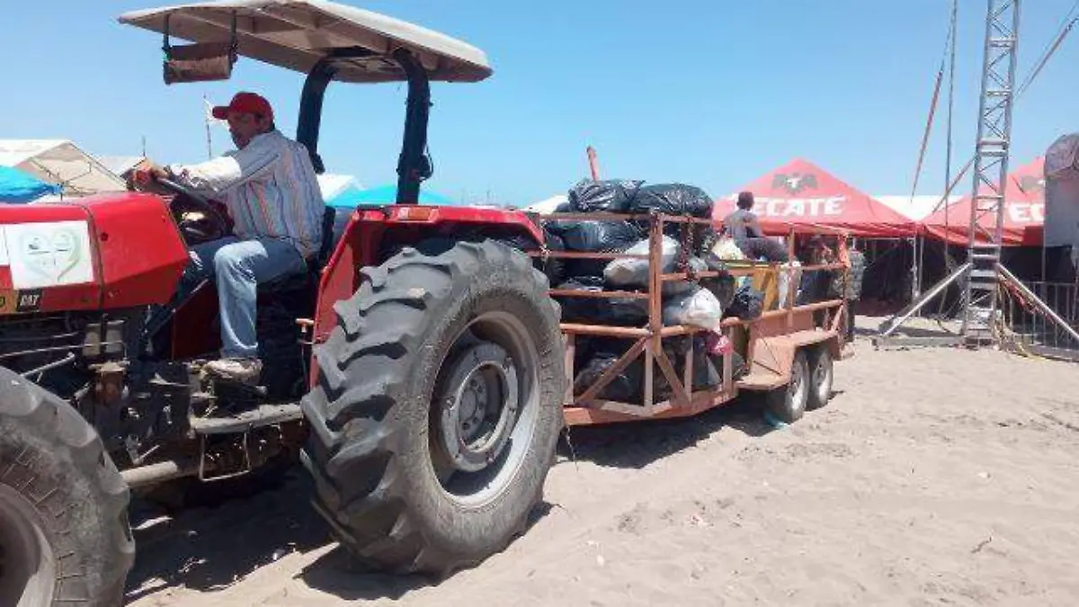 recolectan-basura