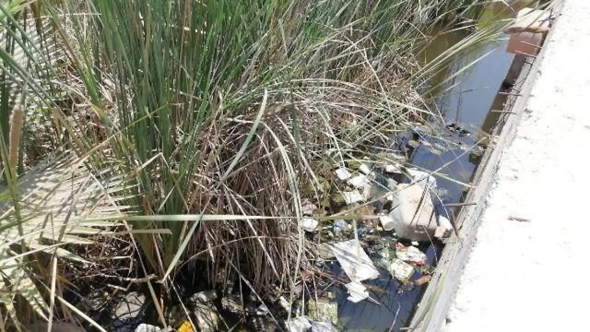 basura