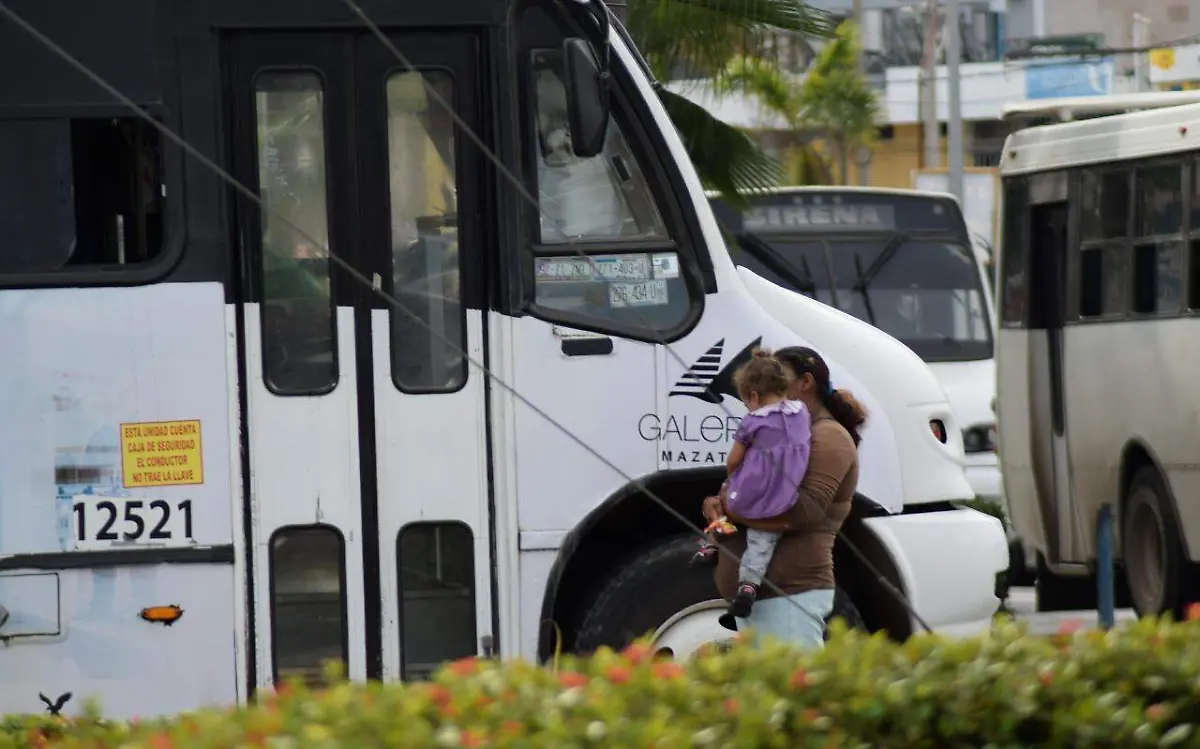 WhatsApp Image 2022-09-13 at 11.58.50 AM