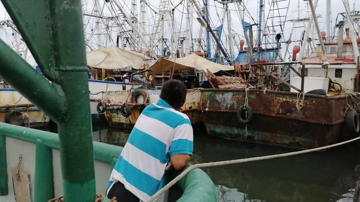 la-pesqueria-de-calamar-sigue-sin-recuperarse