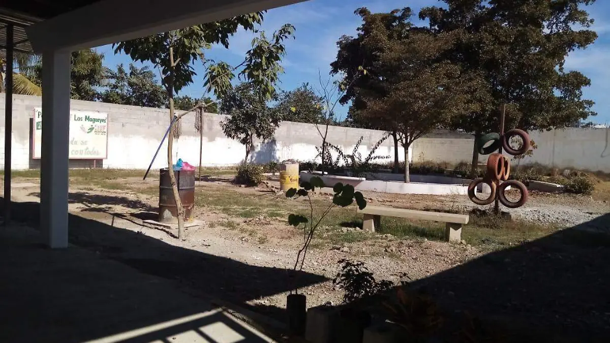 albergue animal 2