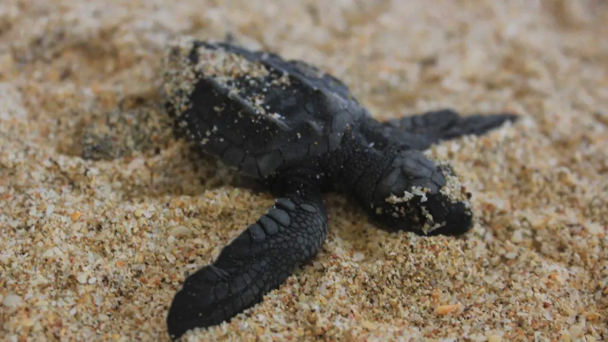 WhatsApp Image 2019-09-03 at 6.31.09 PM