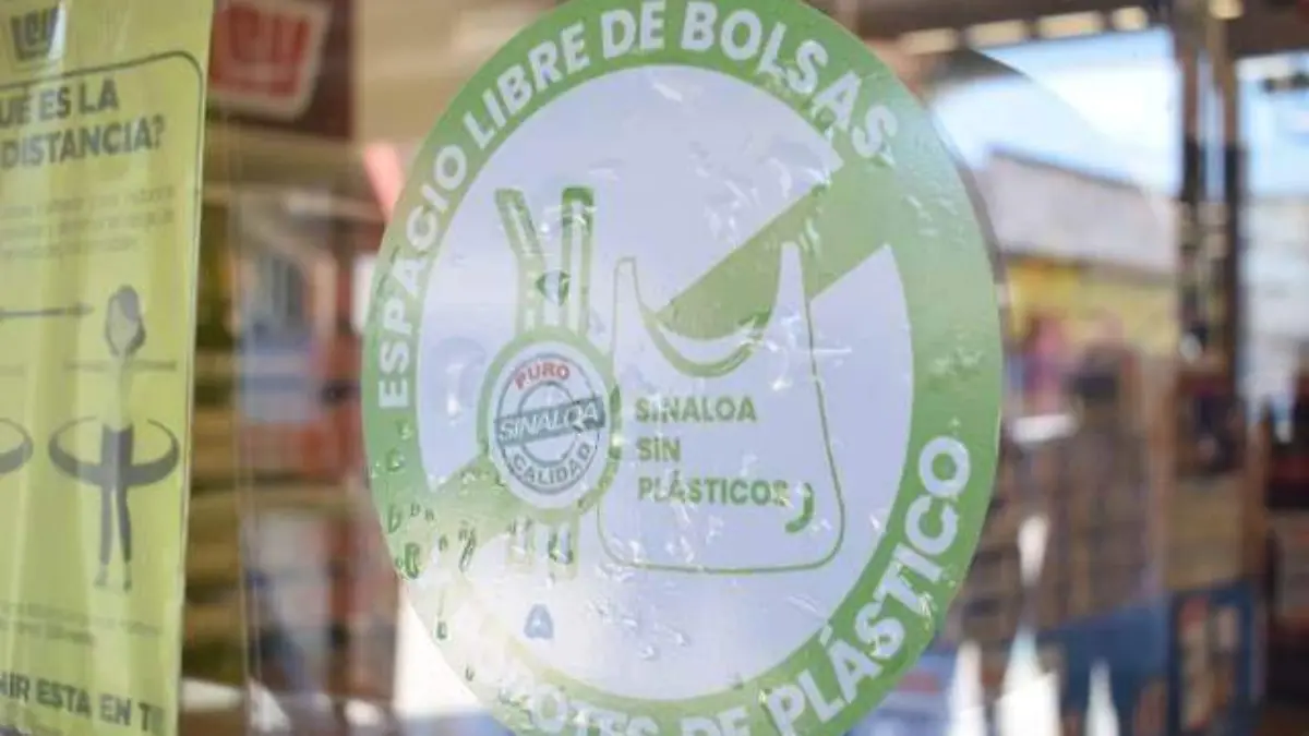 BOLSASPLASTICO