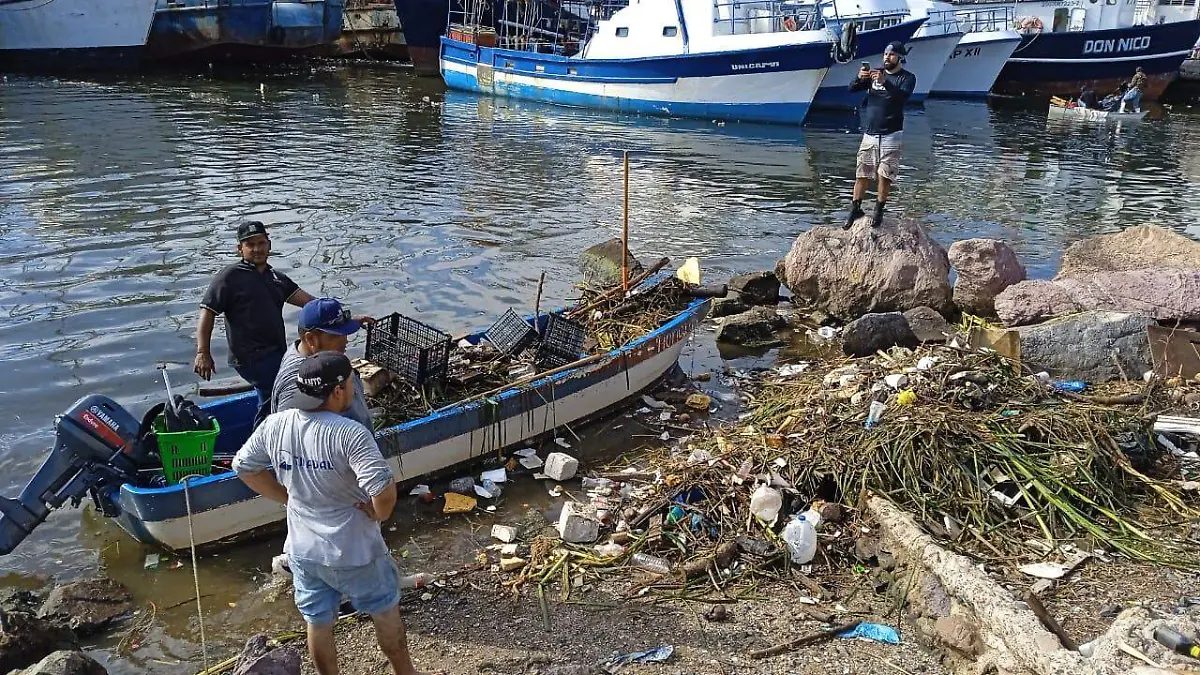 realizan-limpieza-en-la-biobarda-del-puente-juarez-en-mazatlan